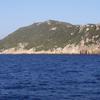 Otok Zannone