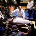 Fish market Tsukiji u Tokiju