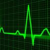 Puls