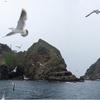 Otoci Dokdo