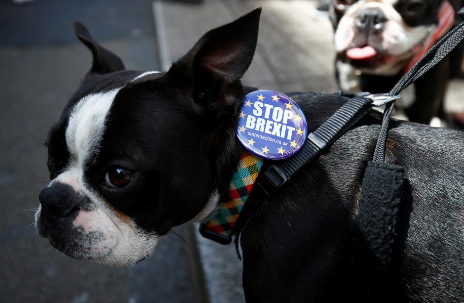 Brexit | Author: Henry Nicholls/REUTERS/PIXSELL