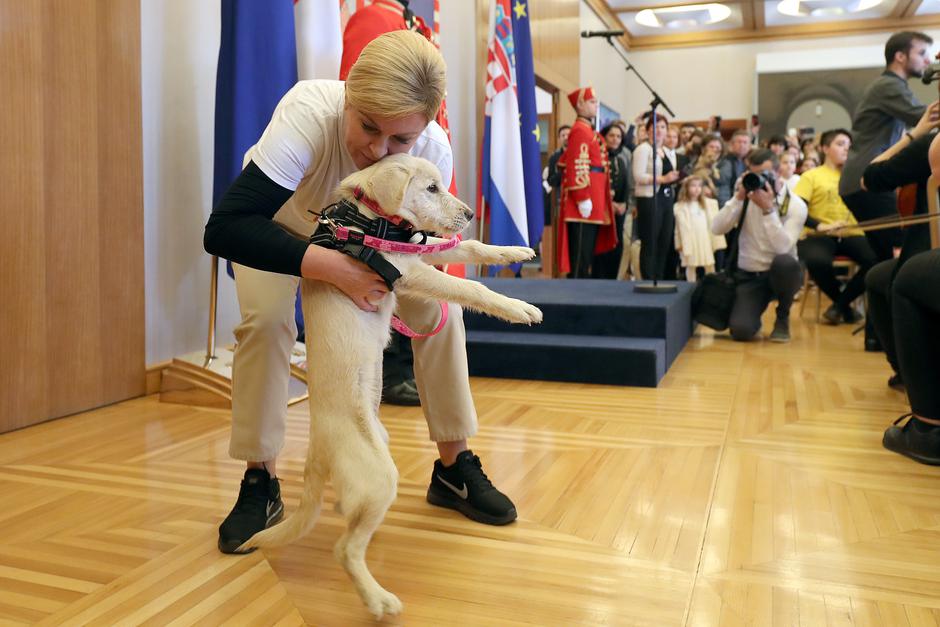 Kolinda Grabar Kitarović na predstavljanju kućnog ljubimca javnosti | Author: Goran Stanzl/PIXSELL