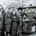 Auschwitz