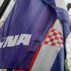 INA