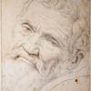 Michelangelo