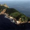 Queimada Grande