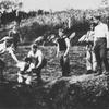 Jasenovac
