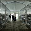 Trump Tours 'Alligator Alcatraz' Immigration Center