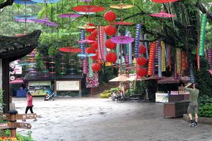 Shenzhen