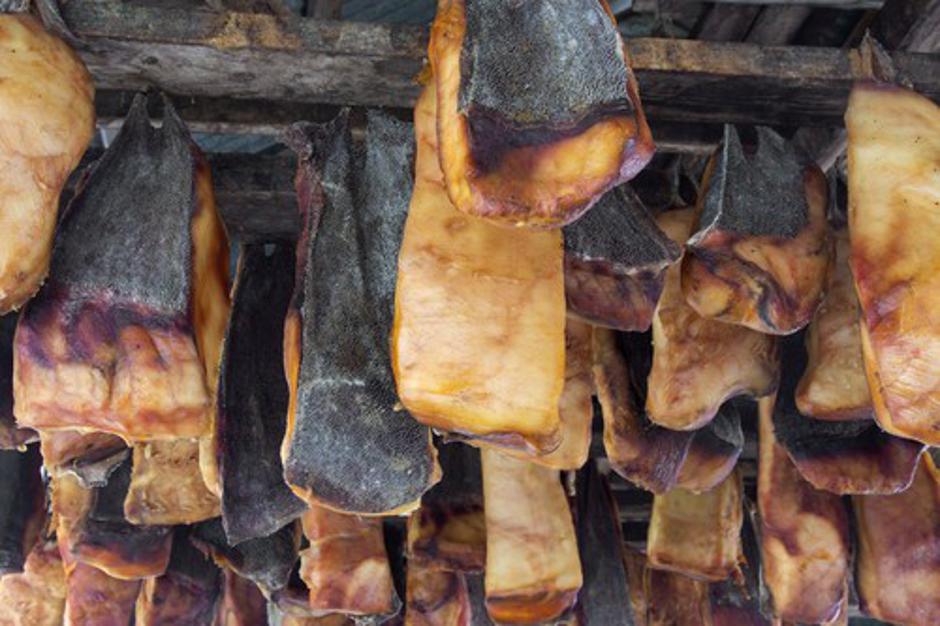 Hákarl, national dish of fermented Greenland shark (Somniosus microcephalus), rotten meat hanging to dry in open air shed at Snaefellsnes, Iceland | Author: Profimedia