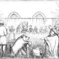 Svinja na sudu, grafika o slučaju iz Lavegnyja iz 1457.